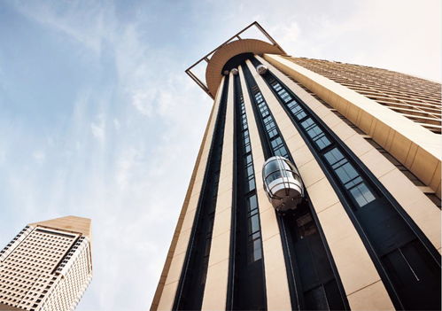 新沂人，請收好這份電梯安全與改造指南